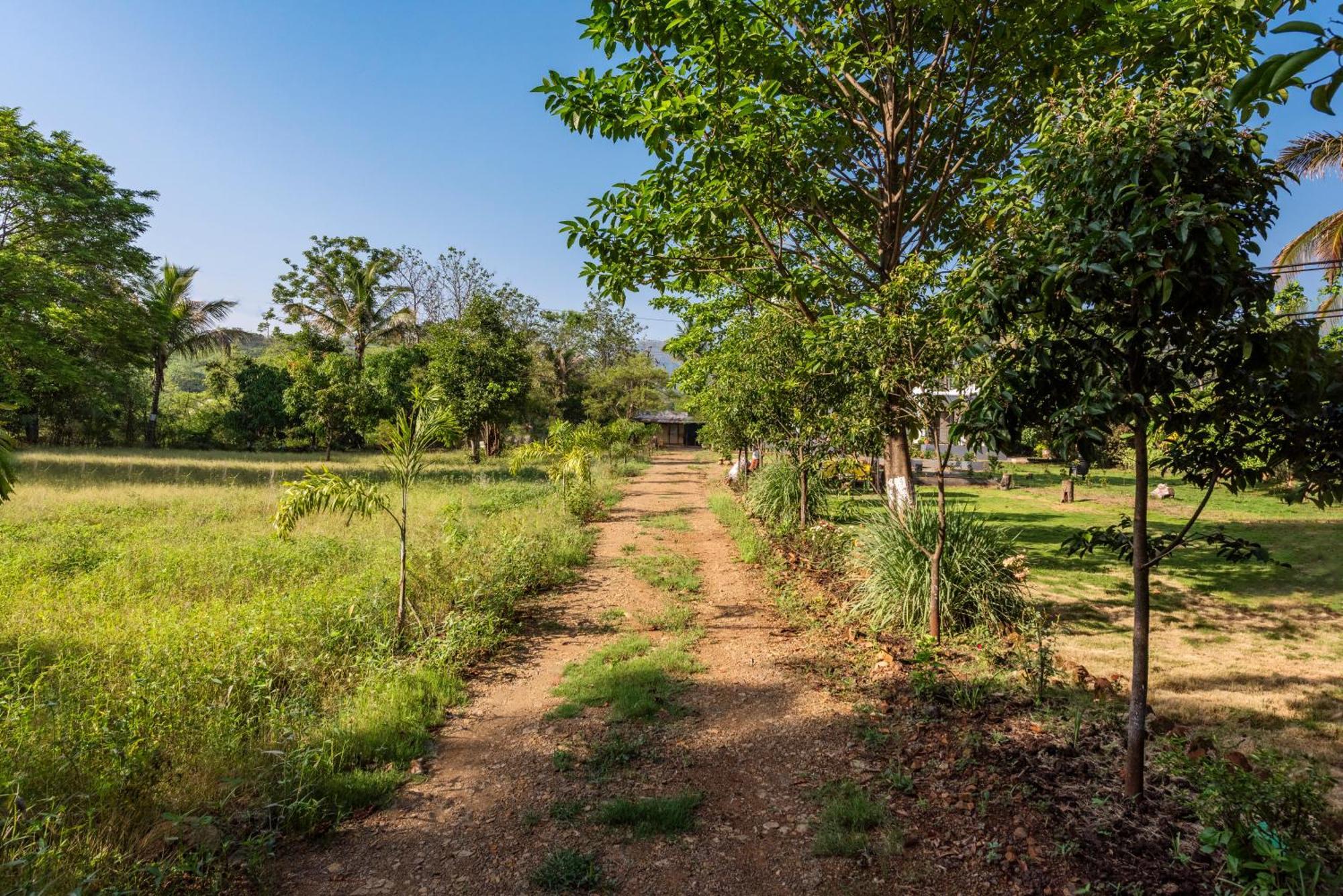 Saffronstays Lakeview Nivara - Farm Stay Villa With Private Pool Near 浦那 外观 照片